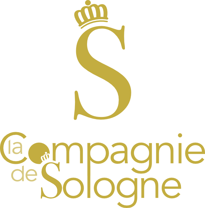 Logo-compagniesologne-newcouronne-V-doré-petitS